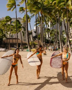 Outlet Colorblock Bottom Swim Bottoms