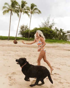 Online Harbor One Piece One Pieces